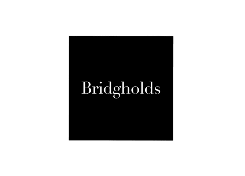 Featured image for “Bridgholds”