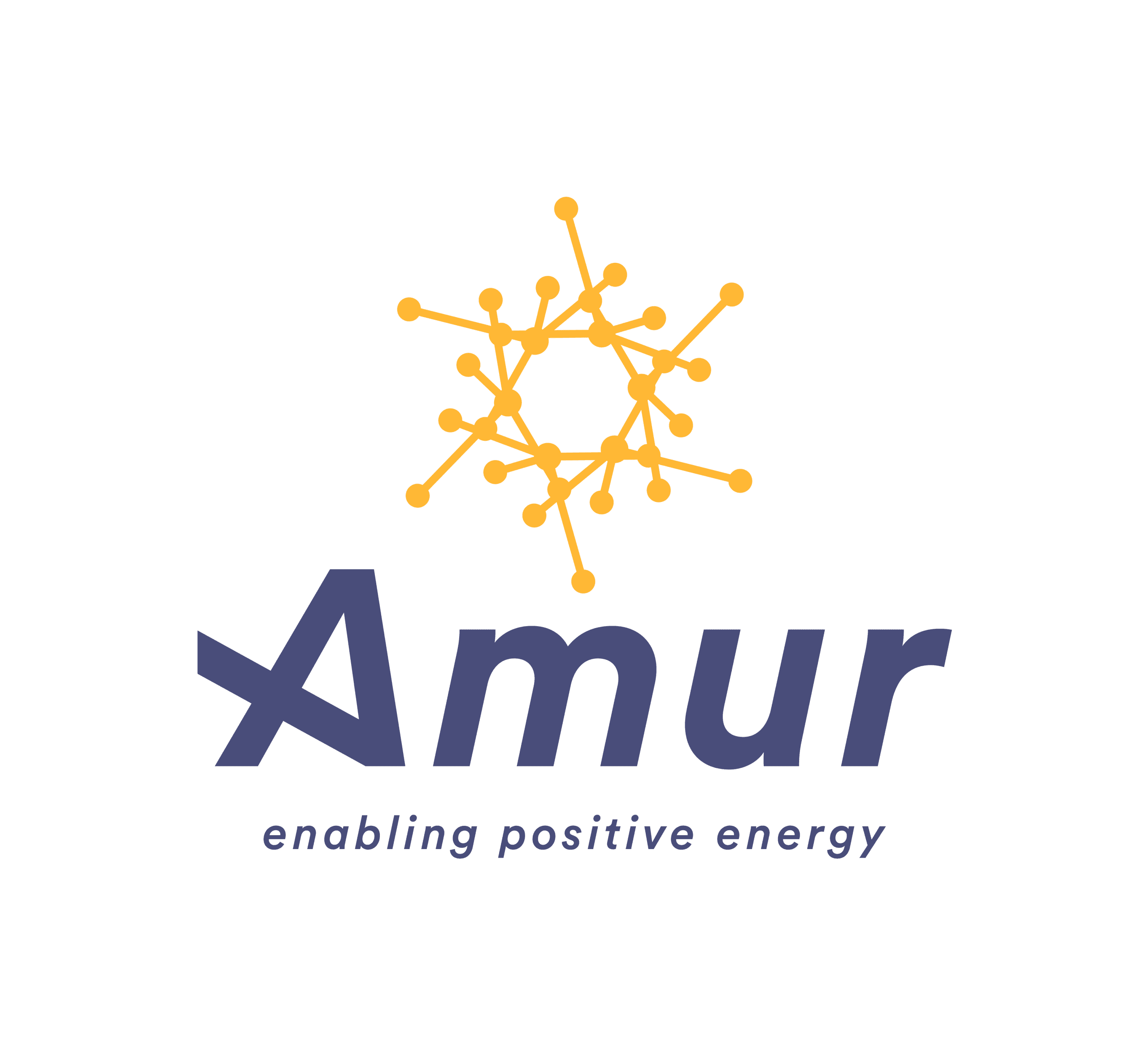 Logo for Amur Energy